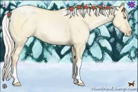 Horse Color:Silver Buckskin Pearl Dun Tobiano 