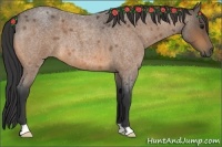 Horse Color:Buckskin Roan 
