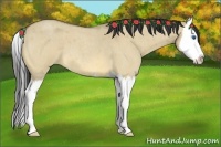 Horse Color:Buckskin Roan Dun Splash