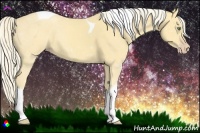 Horse Color:Gold Cream Champagne Tobiano 