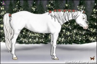 Horse Color:Silver Bay Pearl Dun Tobiano Appaloosa 