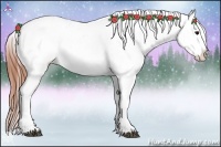 Horse Color:Brown Tobiano Appaloosa