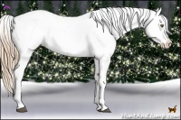 Horse Color:Liver Chestnut Pearl Splash Appaloosa 