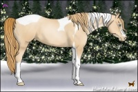 Horse Color:Gold Champagne Pearl Tobiano