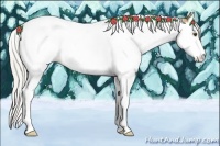 Horse Color:Silver Buckskin Dun Splash Tobiano