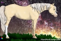 Horse Color:Silver Sable Cream Champagne Dun 