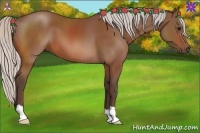 Horse Color:Silver Bay 