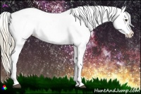Horse Color:Palomino Dun Tobiano Blanket 
