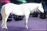 Horse Color:Smoky Grullo Pearl Varnish Rabicano 