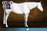 Horse Color:Liver Chestnut Sabino Appaloosa 