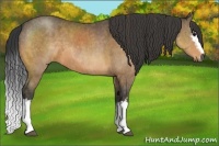 Horse Color:White Spotted Buckskin Sabino Brindle