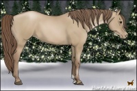 Horse Color:Grullo Pearl 