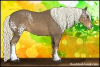 Horse Color:White Spotted Liver Chestnut Rabicano 