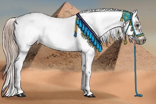 Horse Color:White Spotted Chocolate Palomino Frame 