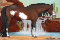 Horse Color:Bay Frame