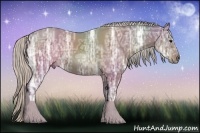 Horse Color:Silver Black Ice Sabino 