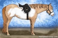 Horse Color:Gold Champagne Frame 