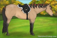 Horse Color:Buckskin Roan 
