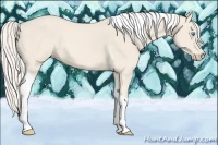 Horse Color:Cremello Tobiano 