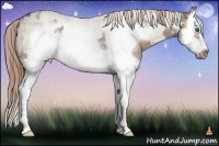 Horse Color:Liver Red Dun Roan Splash Frame  and Liver Red Dun Roan Splash Frame 