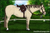 Horse Color:Classic Cream Champagne Roan Dun Rabicano