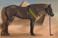 Horse Color:Liver Chestnut Sabino 