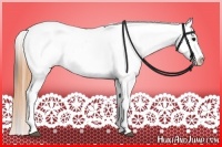 Horse Color:White Spotted Buckskin Dun Tobiano Leopard 