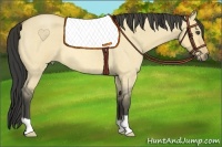 Horse Color:Buckskin Roan Dun 