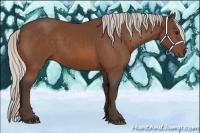 Horse Color:Silver Bay 