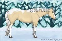 Horse Color:Silver Buckskin Dun Splash Tobiano 