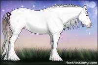 Horse Color:Brown Ice Appaloosa