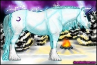 Horse Color:Thunderstruck Brown Appaloosa Rabicano 