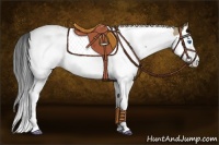 Horse Color:Bay Dun Splash Tobiano