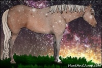 Horse Color:Silver Bay 