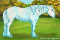 Horse Color:Thunderstruck Cremello Sabino