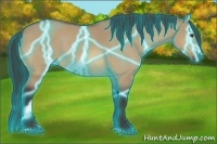 Horse Color:Thunderstruck Buckskin Dun Sabino