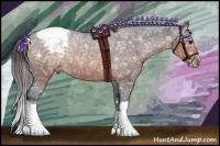 Horse Color:Brown Ice Appaloosa Rabicano