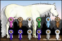 Horse Color:Gray Buckskin Roan Tobiano