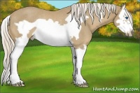 Horse Color:Palomino Splash Frame Rabicano