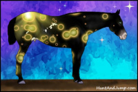 Horse Color:Gray Silver Amber Cream Champagne Dun Tobiano Appaloosa 