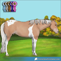 Horse Color:Silver Classic Champagne Tobiano 