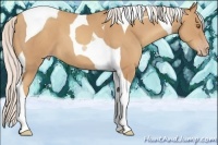 Horse Color:Silver Classic Champagne Tobiano 