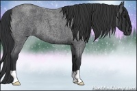 Horse Color:Blue Roan 