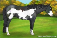 Horse Color:Black Frame
