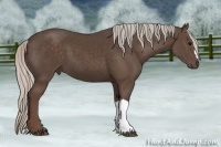 Horse Color:Silver Black