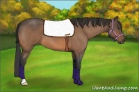 Horse Color:Buckskin Roan 