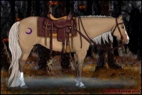 Horse Color:Silver Bay Dun Sabino Rabicano 