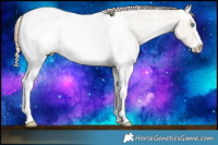 Horse Color:Smoky Grullo Pearl Sabino Near Fewspot Rabicano 