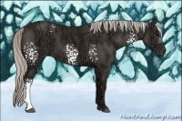 Horse Color:White Spotted Silver Black Ice 