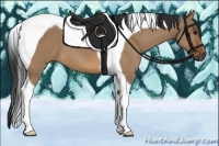 Horse Color:Bay Dun Tobiano 